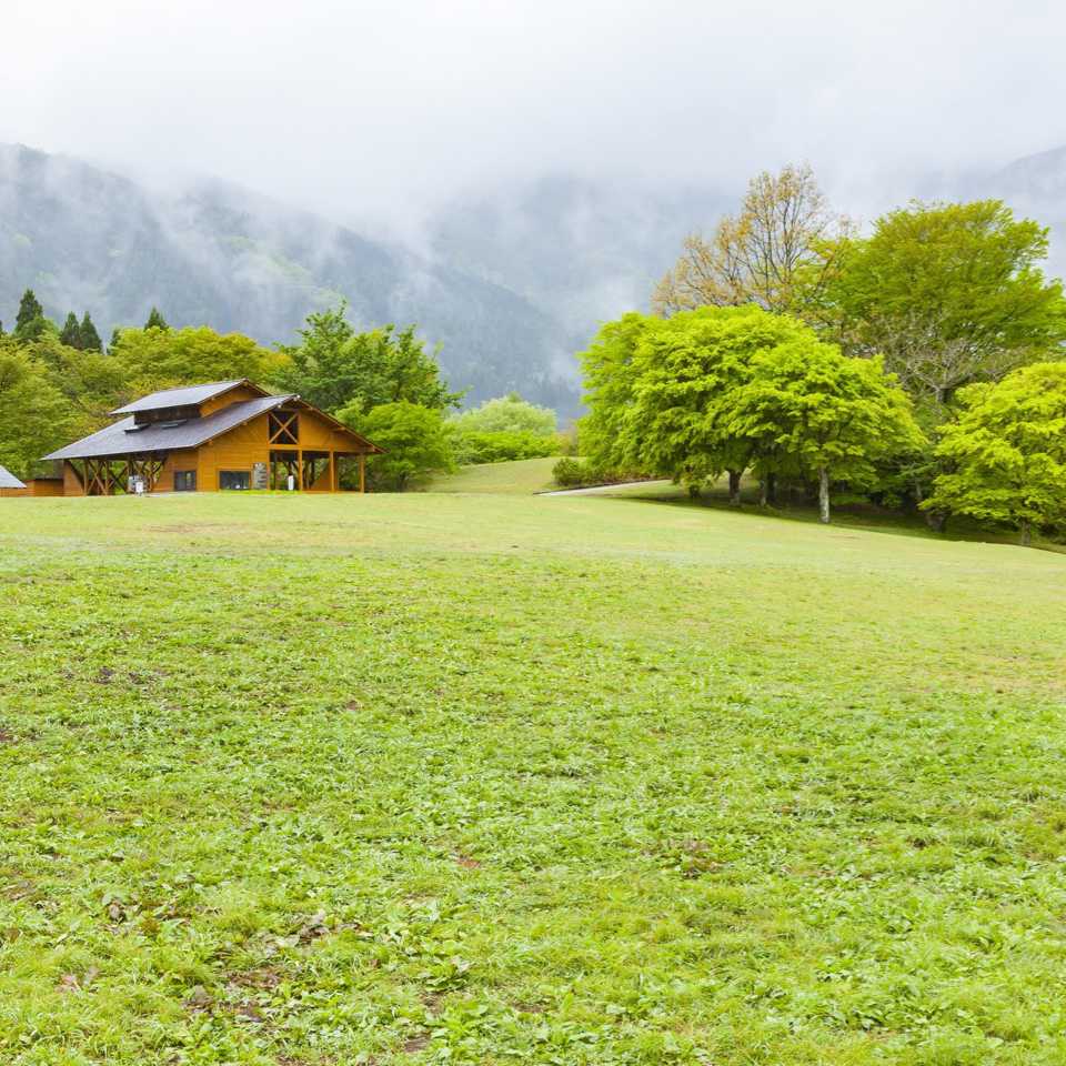 埼玉 県 無料 キャンプ 場