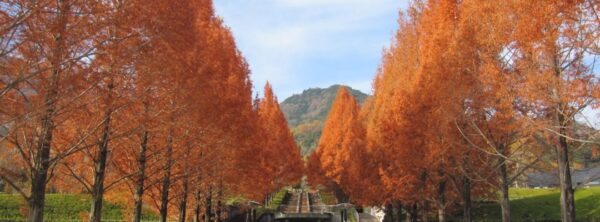 山梨県富士川クラフトパーク