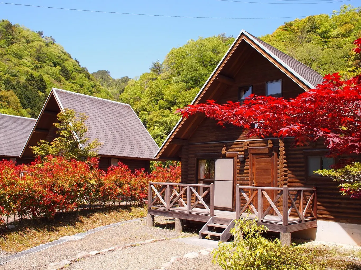 ログハウス外観