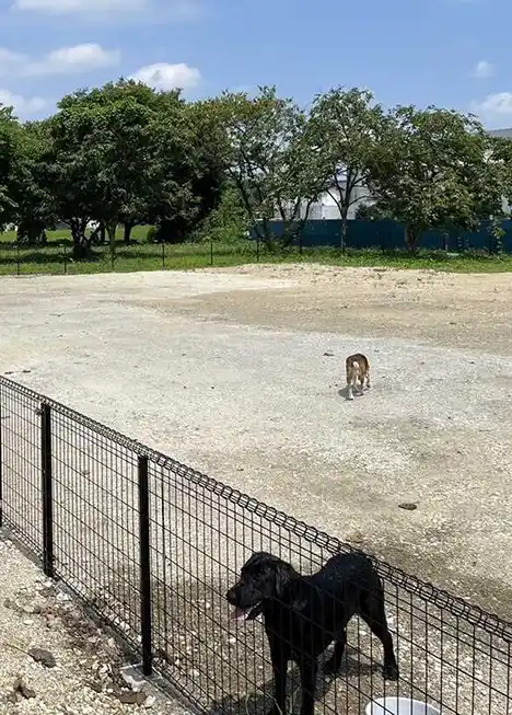 ペットと一緒に遊べるキャンプ場